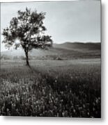 Abstract  Black And White Landscape Metal Print