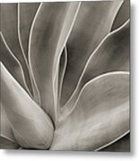 Abstract Cactus Plant Metal Print