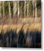 Abstract Of Birch At The Edge Of The Marsh 2018-1 Metal Print