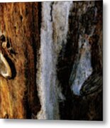 Abstract Wooden Post Metal Print