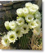 Abundance Of Blooms Metal Print