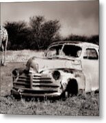 Acquaintance Metal Print