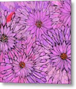 African Daisy, Cape Daisies, Pink Flowers, Floral Art Metal Print