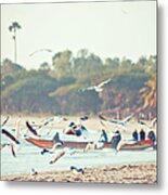 African Fishing Boat And Seabirds Metal Print