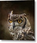 African Spotted Eagle Owl Metal Print