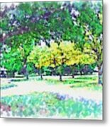Afternoon In The Park Metal Print