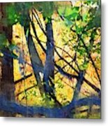 Afternoon In The Woods Metal Print