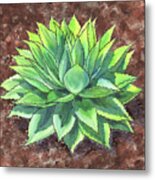 Agave Ovatifolia Succulent Plant Garden Watercolor Metal Print