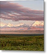 Alaska Range With Mt Brooks Metal Print