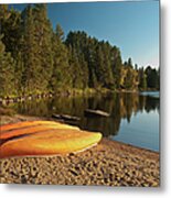 Algonquin Provincial Park Metal Print