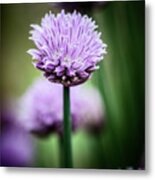 All Alone With My Thoughts Metal Print