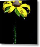 Alone In The Dark Metal Print