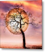 Alone In The Mist In Square Metal Print