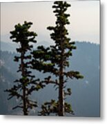 Alpine Trees With Wildfire Smoke Obscuring The Mountains Metal Print