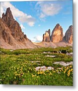 Alps Metal Print