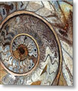 Ammonite Metal Print