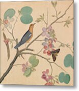 An Orange Headed Ground Thrush And A Deaths Head Moth On A Purple Ebony Orchid Branch, 1788 Metal Print