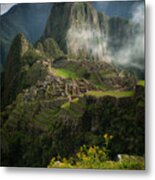 Andean Garden Metal Print