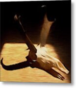 Antelope 004 Metal Print