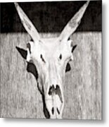 Antelope 005 Metal Print