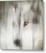 Antique Wildlife Wolf Metal Print