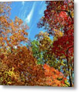 Appalachian Autumn Canopy Metal Print