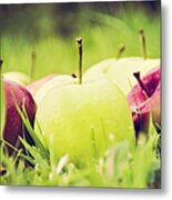 Apples On Grass Metal Print