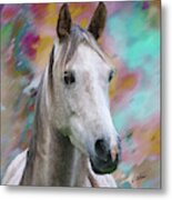 Arabian Horse Dwp1001805 Metal Print