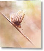 Around The Meadow 5 Metal Print