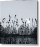 Around The Pond Metal Print