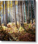 Aspen Alley Metal Print