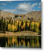 Aspens Of Dark Canyon Lake Ii Metal Print