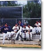 Atlanta Braves Metal Print