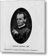 Austrian Botanist Gregor Mendel Metal Print