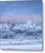 Autumn And Winter Gradients Metal Print