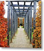 Autumn Arbor Metal Print