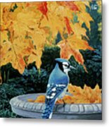 Autumn Birdbath Metal Print