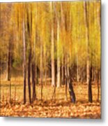 Autumn Dreaming Metal Print