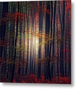 Autumn  Fall At Forest Metal Print