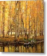 Autumn Gold Rush Metal Print