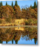 Autumn Holidays For Parents And Children. Metal Print