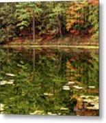Autumn Lakeside With Lily Pads And Forest Metal Print