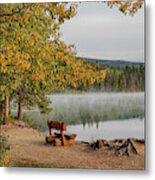 Autumn Morning On Cavell Lake Jasper National Park Fall Leaves Metal Print