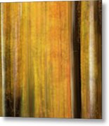 Autumn Pan Metal Print