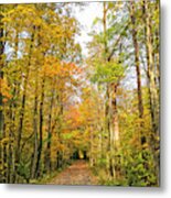Autumn Trail Metal Print