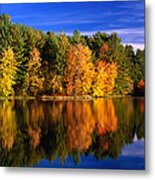 Autumn Trees In New Hampshire,new Metal Print