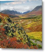 Autumn Tundra, Tombstone Range, Tombstone Territorial Park, Yukon Metal Print