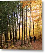 Autumn Walk In The Woods Metal Print