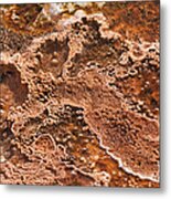 Bacterial Mat Close-up Metal Print