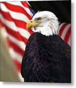 Bald Eagle And Us Flag Metal Print